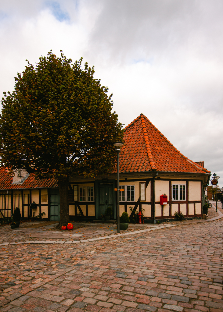 The house across from the Hans Christian Andersen Museum - painted in yellow with copper shingled roof and green doors. A large tree with two carved pumpkins stand in front of the entrance.